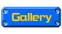 To Gallery